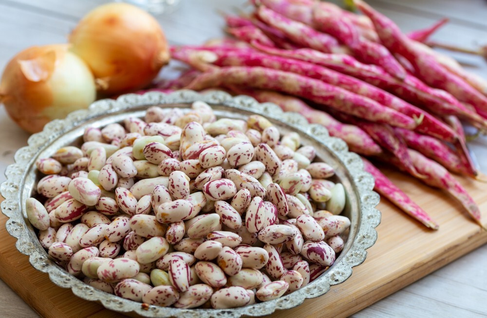 Colombian White Cranberry Bean Seeds (25) / Cargamento blanco / POLE BEAN / RARE