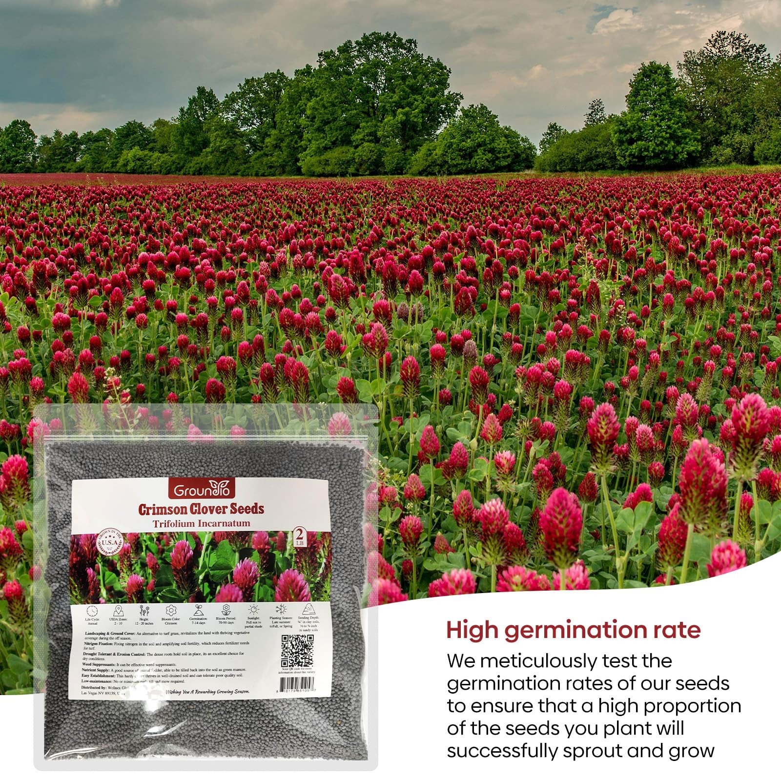 Crimson Clover Seeds 2 lbs – Nitrocoated, Inoculated, Attracts Pollinators, Lawn