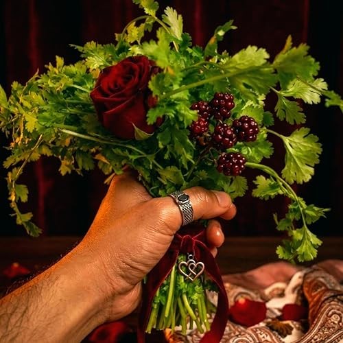 CarpetC Cilantro Seeds for Planting, Slow Bolt Annual Herb, Coriandrum sativum