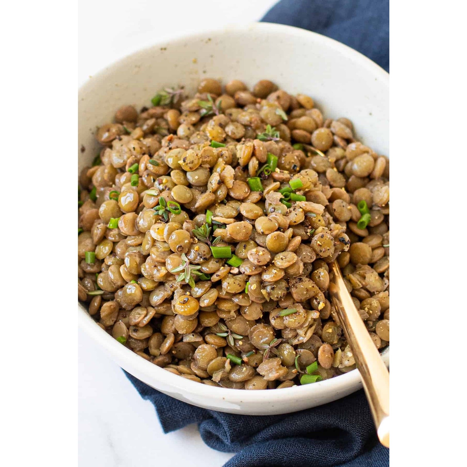 Sprouting Brown Lentils Seeds | Non GMO Heirloom Seed USA Indian Daal