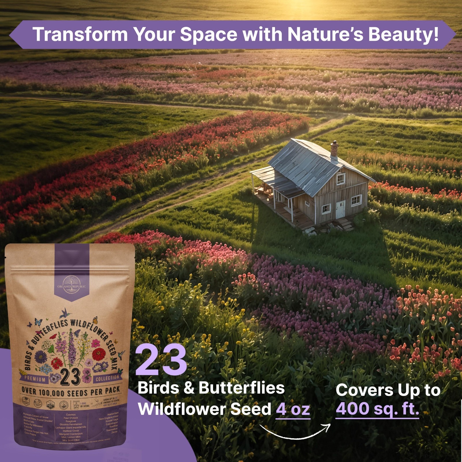 Wildflower Seeds Mix for Indoor & Outdoor Garden, Attract Birds & Butterflies, 1