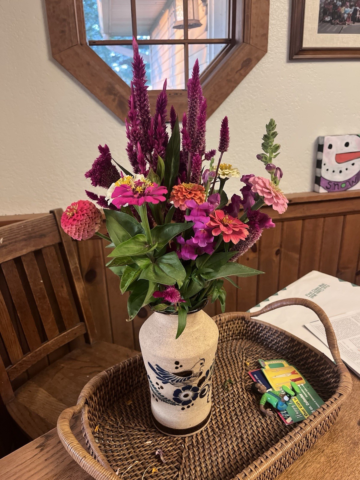 Celosia CRISTATA Mixed Cockscomb Dried Flowers Cut Flowers STUNNING!1000 Seeds!