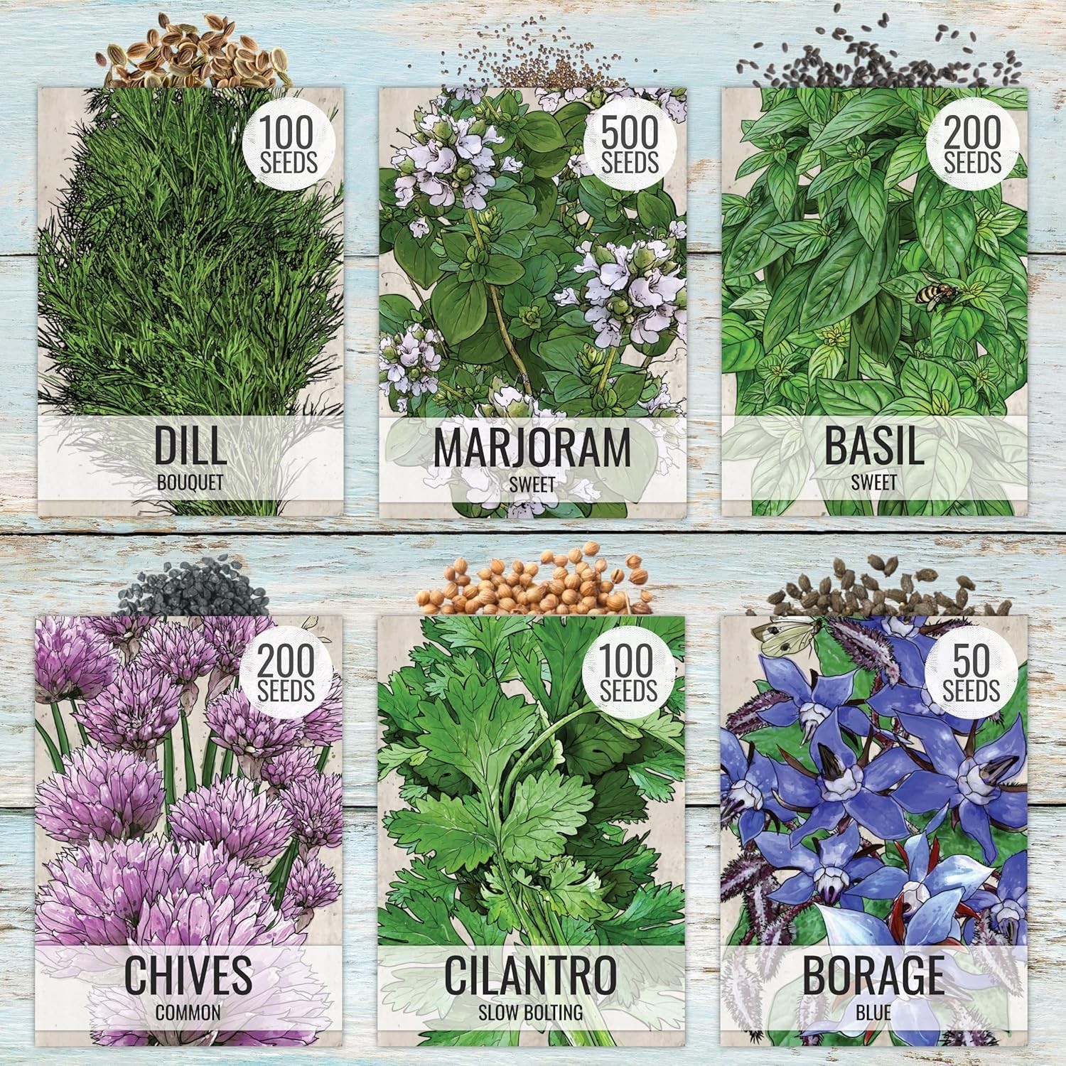 Herb Seeds Variety Pack Culinary Herb Collection 12 Individual Packets for Pl…