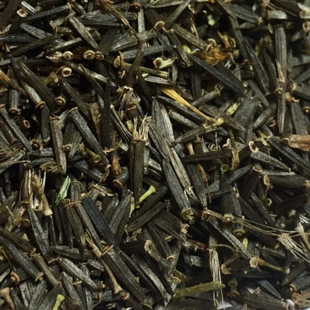 Meadow Arnica Seeds (Arnica chamissonis) ~Traditional Herb Native Pollinator