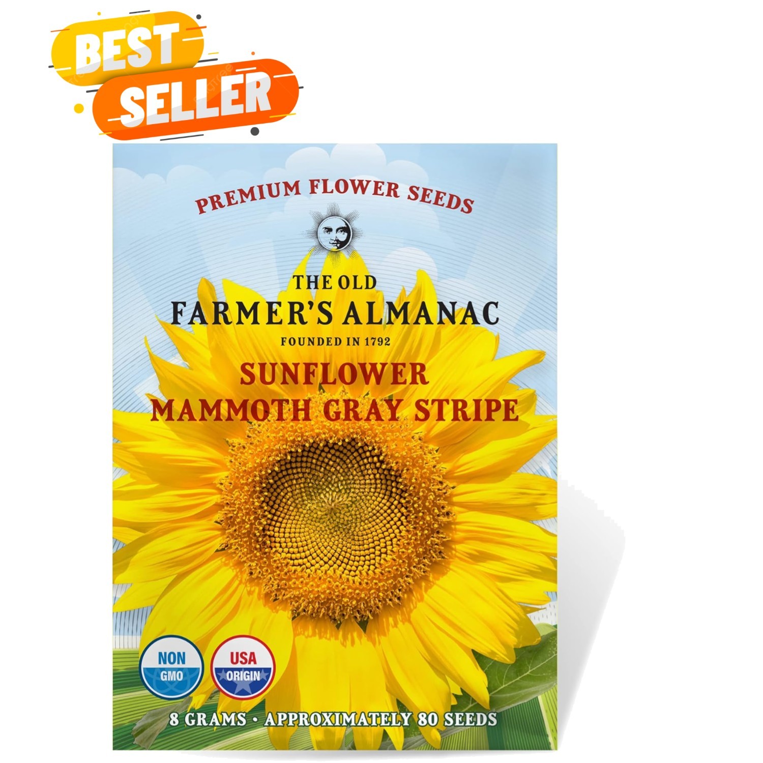 80 Count Mammoth Gray Stripe Sunflower Seeds – Grow 8ft Blooms This Spring