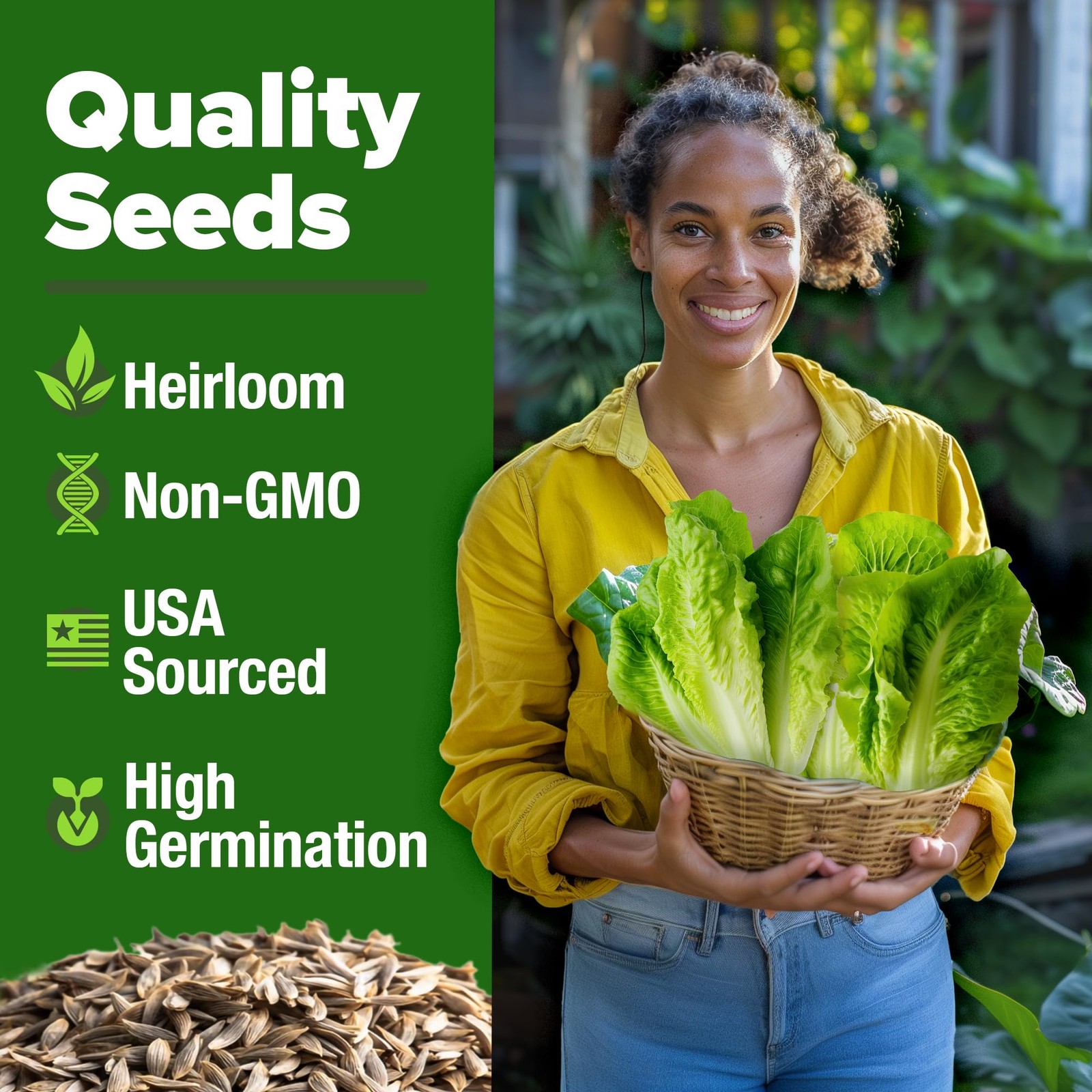 Heirloom Romaine Lettuce Seeds – 3,500+ NonGMO, High Germination, Crisp Heads