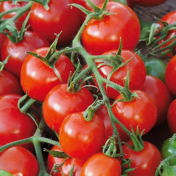 Large Red Cherry Tomato Seeds, Salad, Heirloom, Non-GMO, FREE SHIPPING