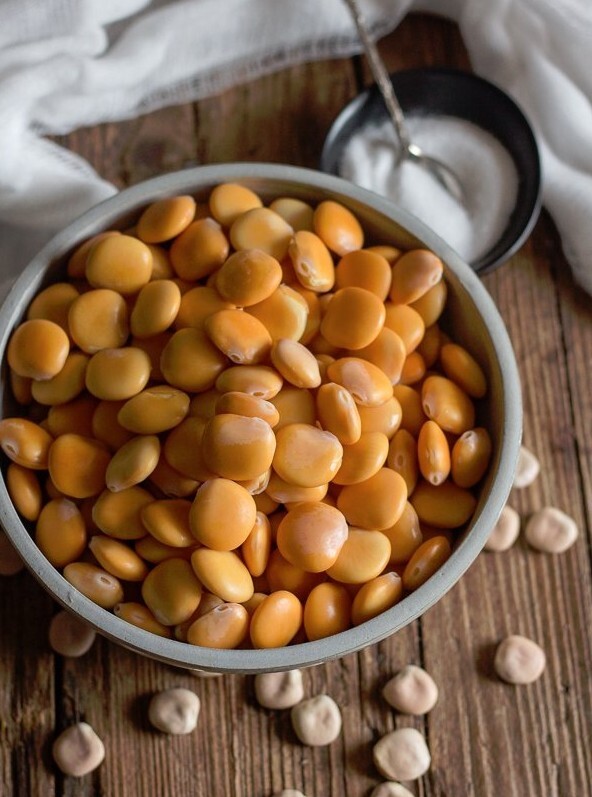 Seeds (50 or 100) Heirloom True Italian Christmas Lupini Beans Lupinus albus