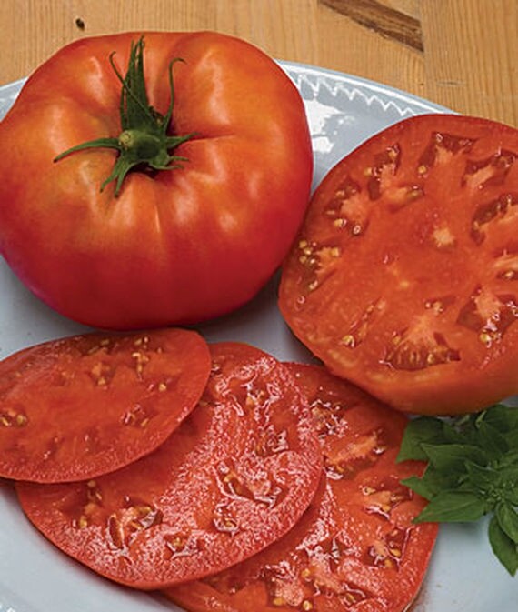 Multi Variety Tomato Herb Seeds 10 Types Non GMO Heirloom Beefsteak Cherry Zebra