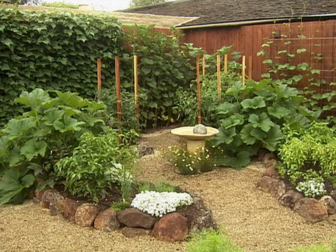 Essential Survival Kit Perfect Vegetable Garden Save Seed 5 Varieties FREE SHIP!