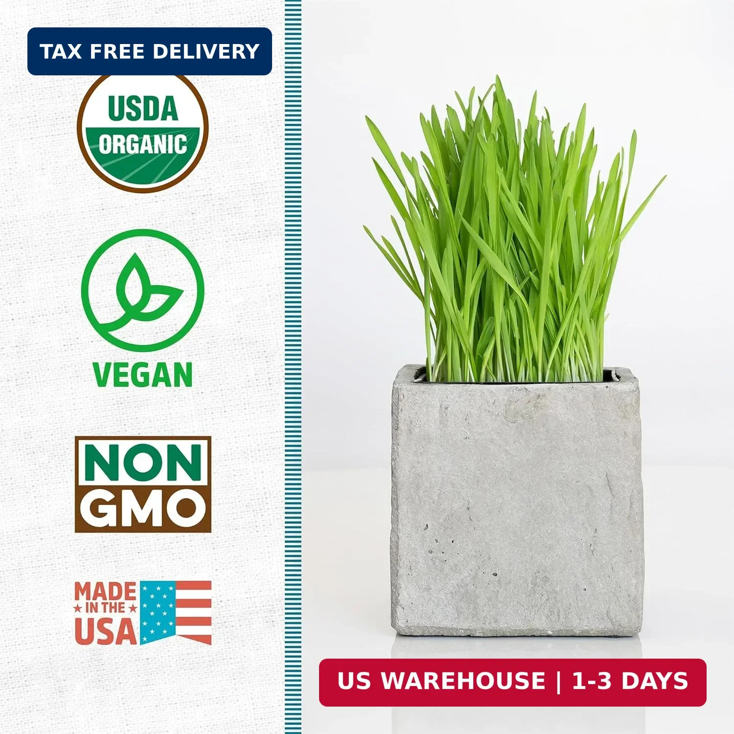 Back to the Roots 100% Organic Wheatgrass Seeds | 1 Pound Non-GMO | Nutrient Den