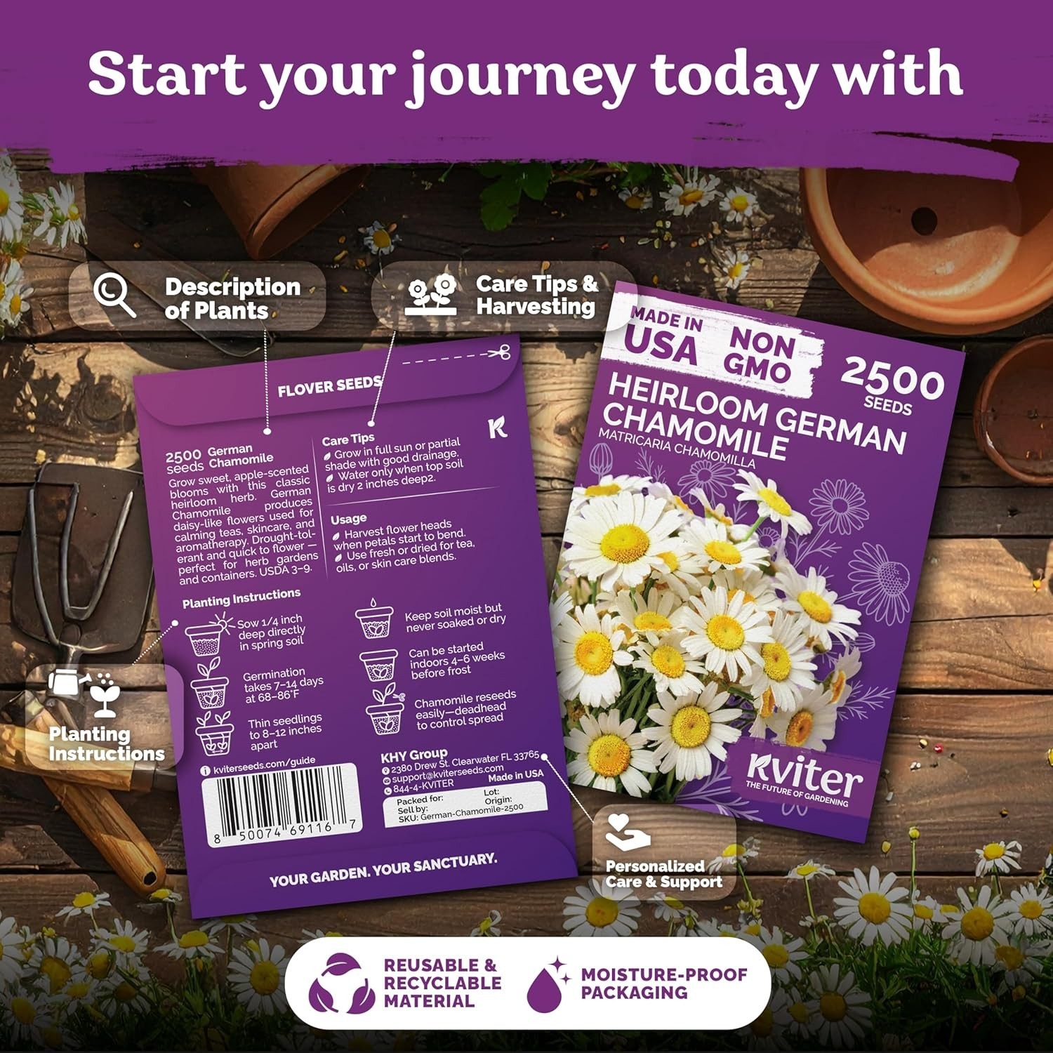 Aromatic German Chamomile Seeds – 2,500 Heirloom Seeds for Tea and Skin Remedies