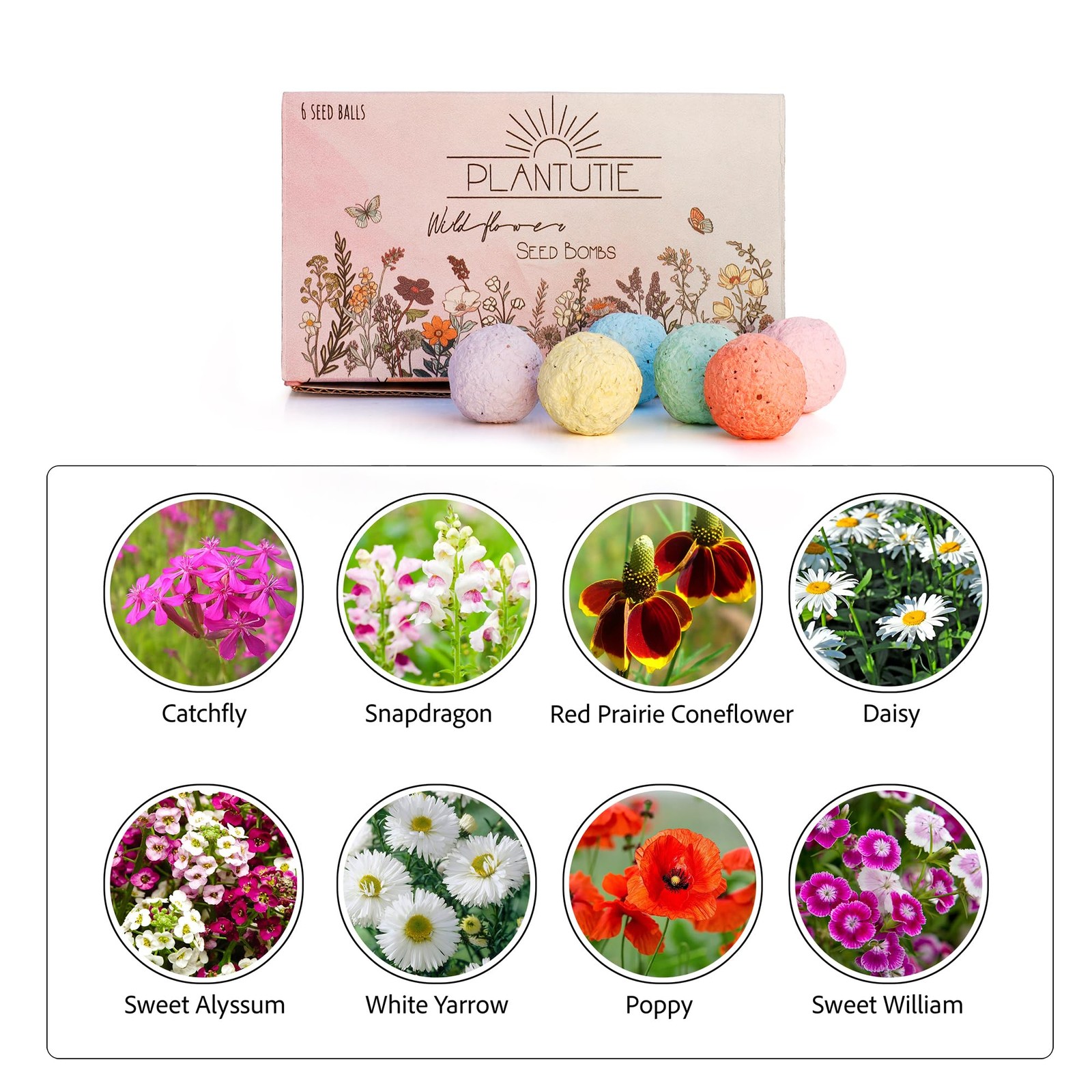 Wildflower Seed Bomb Gift Box – 6 Colorful Hand Rolled Seed Balls for Easy Ga…