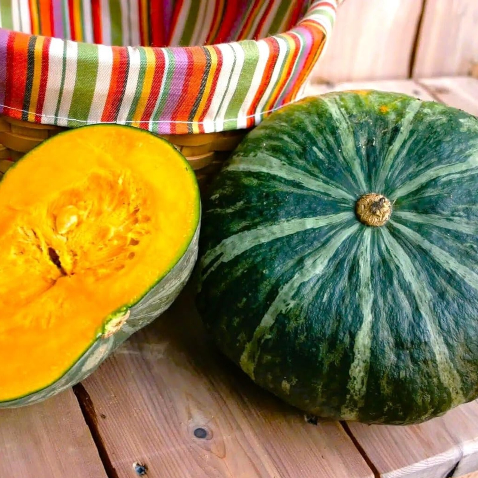 Kabocha Squash Seeds – 15 Seeds – Non-GMO Heirloom Japanese Pumpkin
