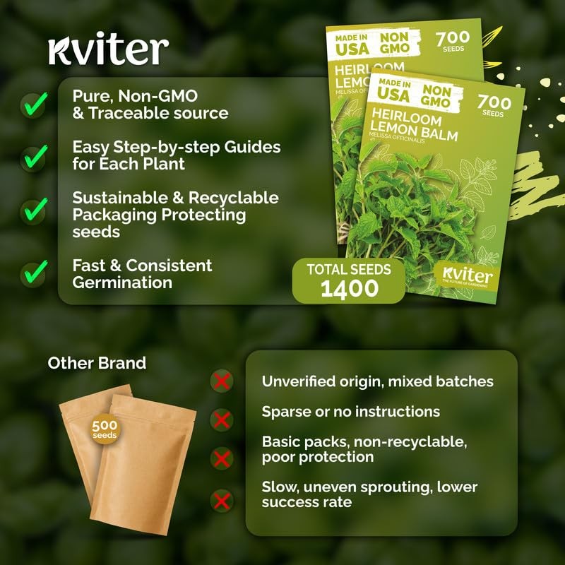 KVITER 1,400 Lemon Balm Seeds for Planting (Melissa Officinalis), 2 Pack