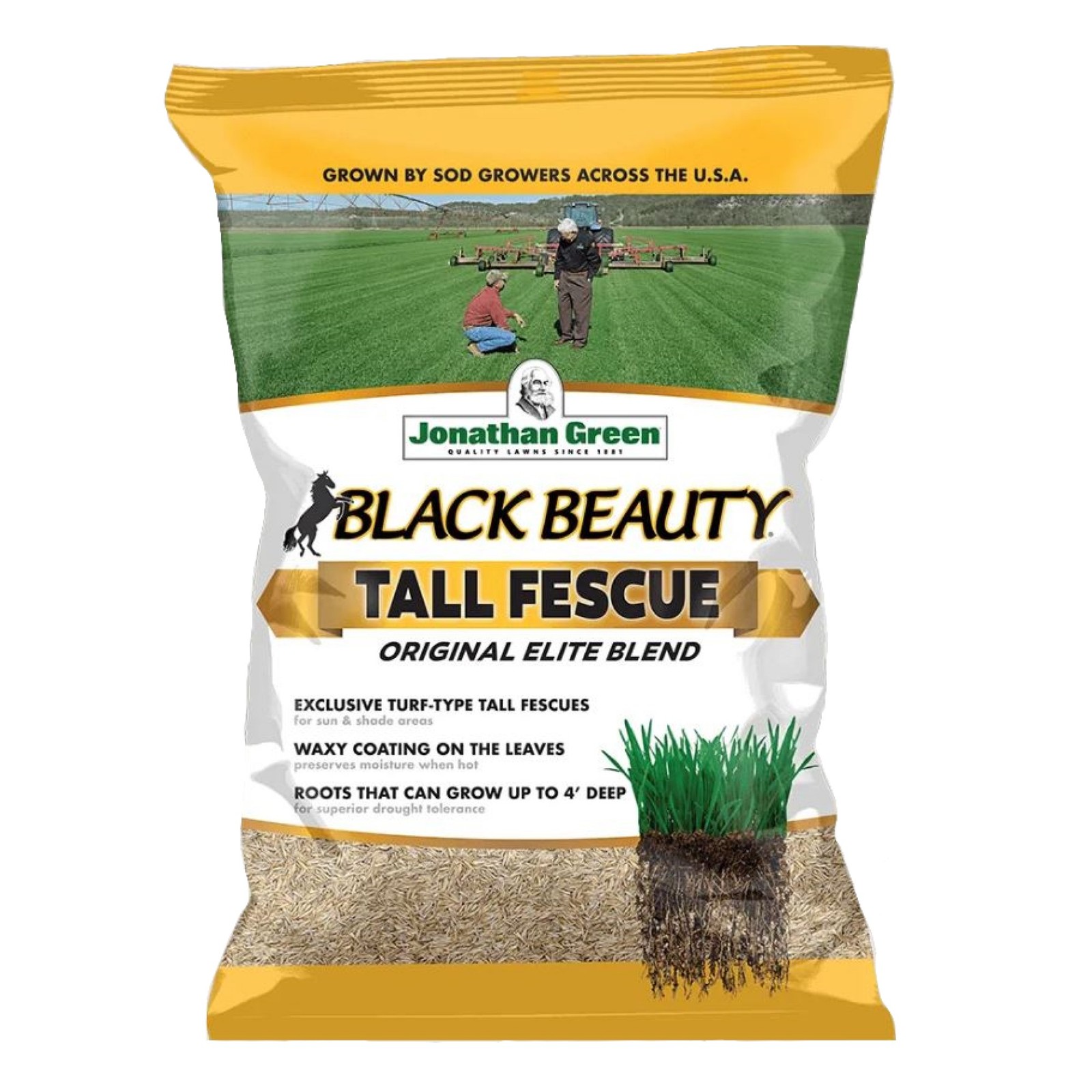 Jonathan Green (#10315) Black Beauty Original Grass Seed, 25 lb bag, 2 Pack