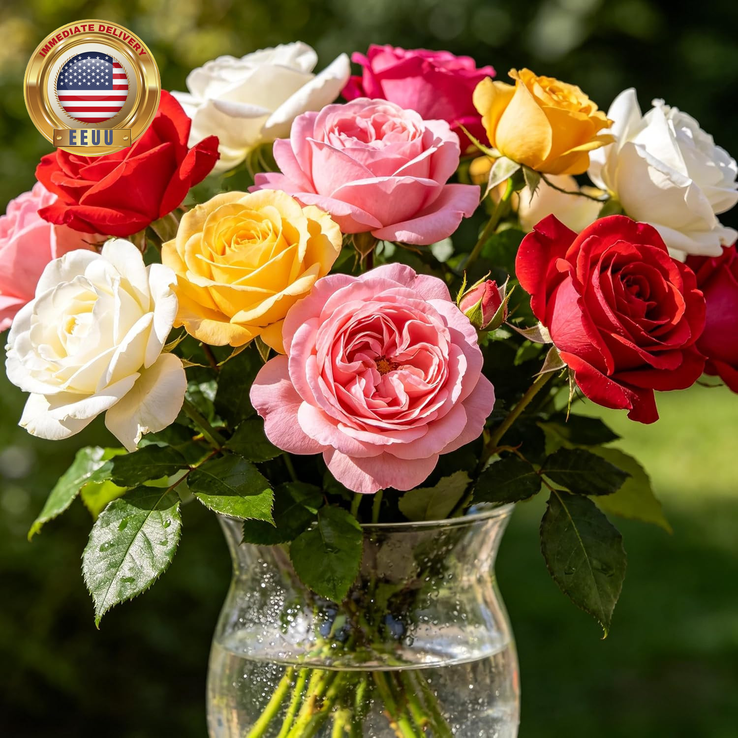 Carpetc 300+ Mixed Rose Seeds for Planting, Fragrant Perennial Shrub, Rosa Flowe