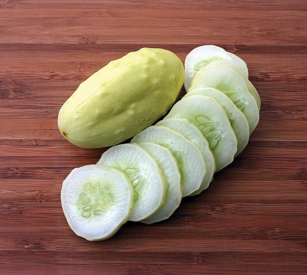31+MINIATURE Sweet White Bush CUCUMBER Seed Container Vegetable Garden Organic