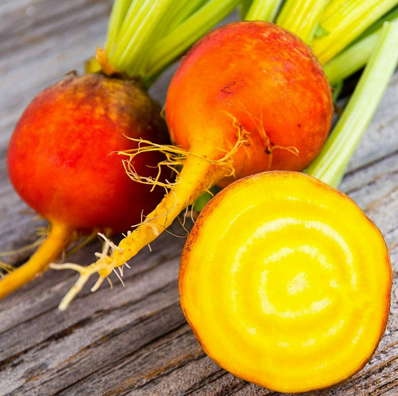 Golden Beet Seeds | Yellow Beets Heirloom Orange Beetroot Garden Root Seed 2024