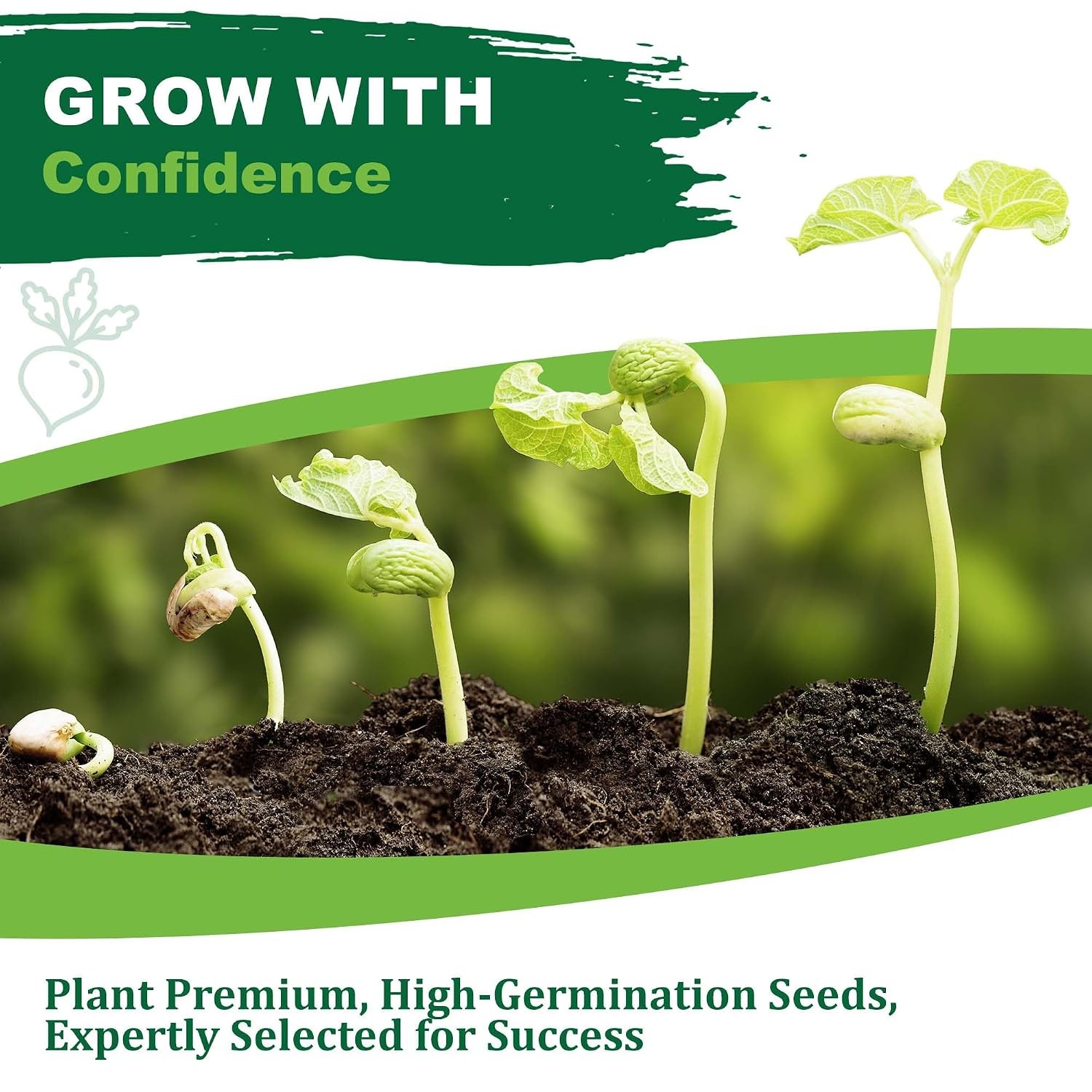 Cucamelon Heirloom Non GMO Vegetable Seeds for Planting, 75 Seeds, Gardening,