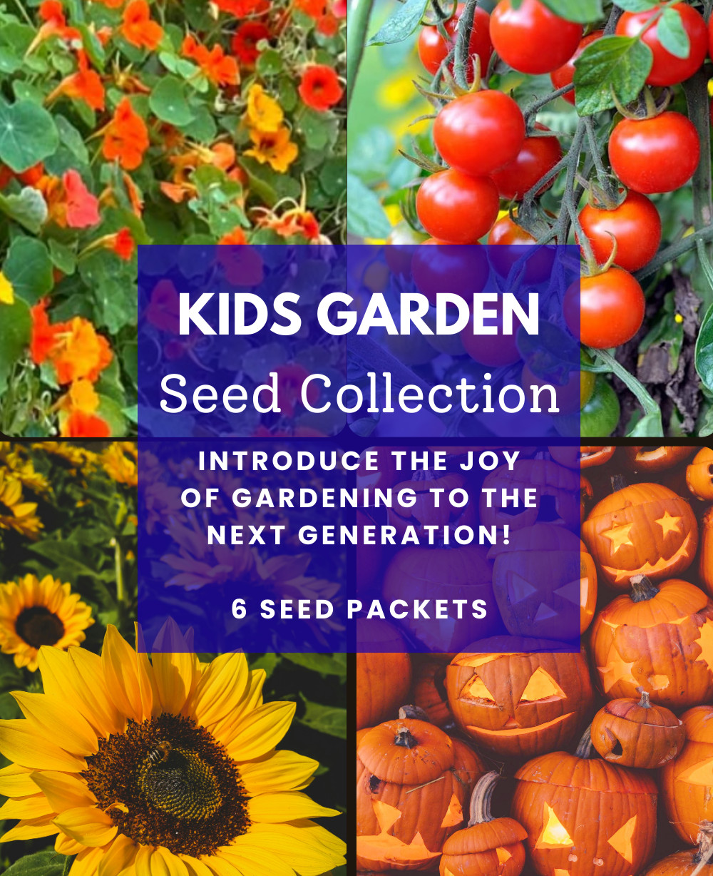 BEGINNER GARDEN for KIDS! 🌱 Organic Seed Collection 🌻 6 Fun Varieties + Gift!