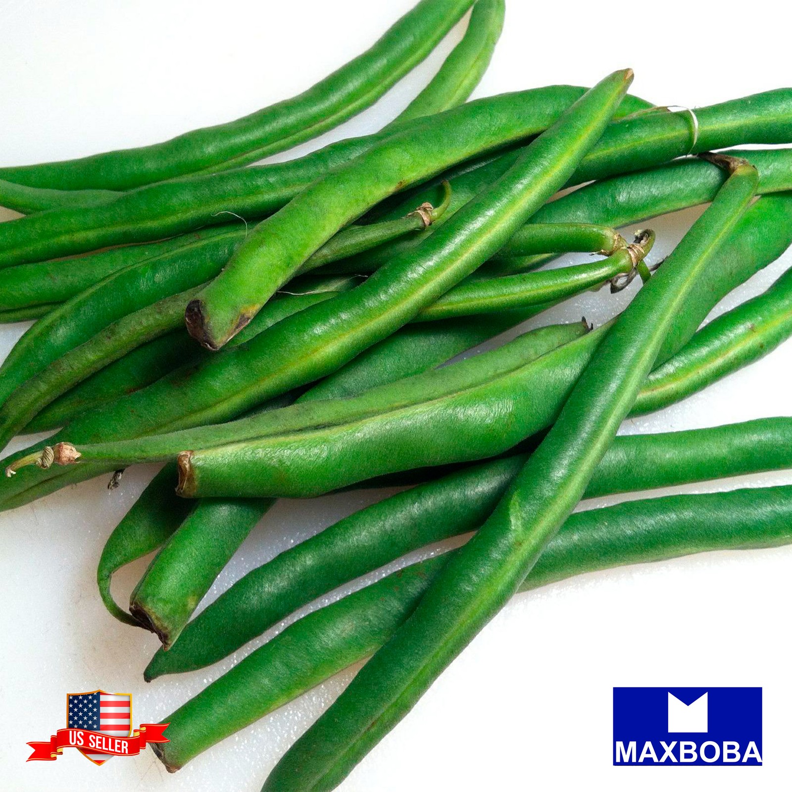 Premium Fresh 250 Seeds Bean Bush Jade Non-GMO Heirloom Vegetable