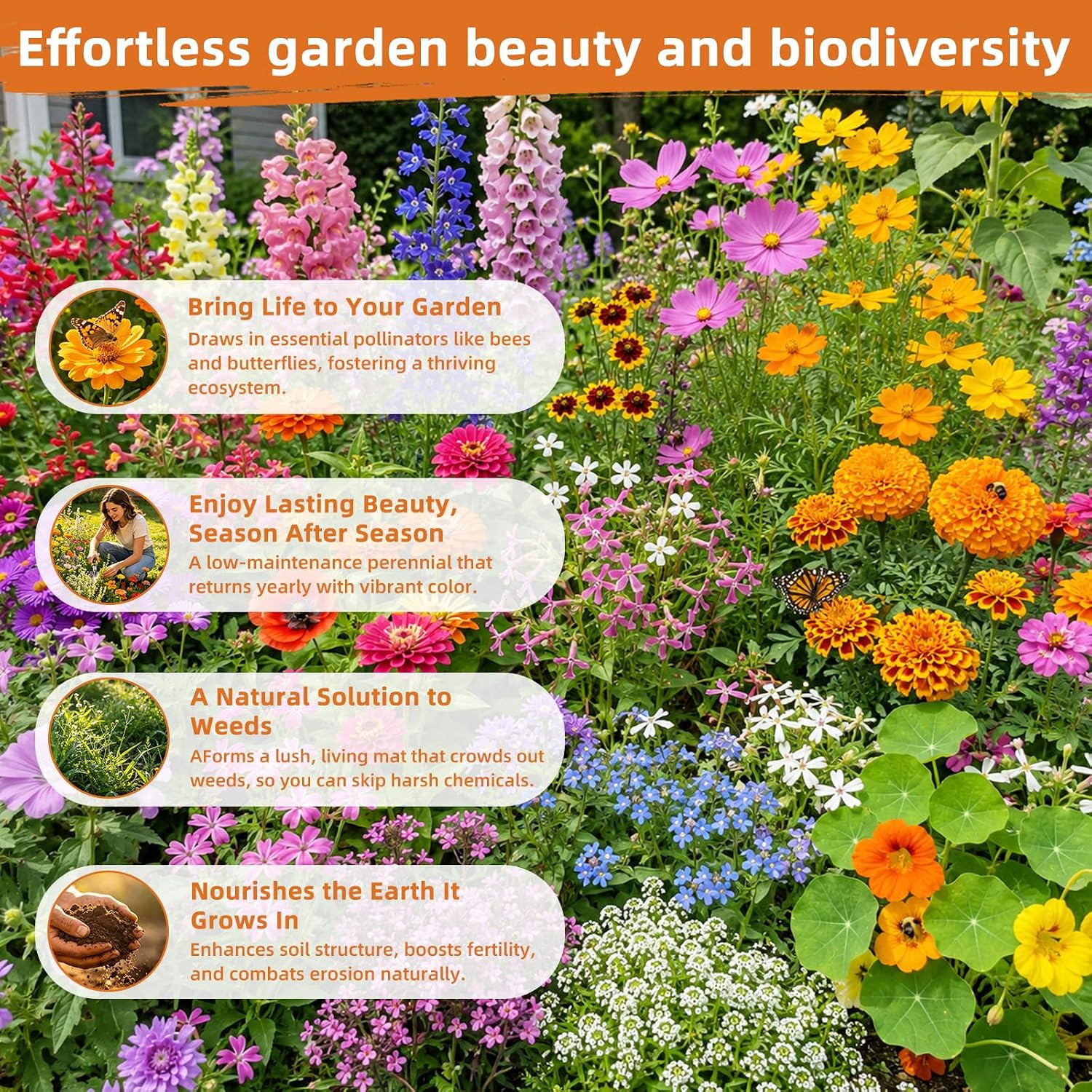 100,000+ Wildflower Seeds Bulk (4Oz) – 25 Varieties Annual & Perennial Mix, High