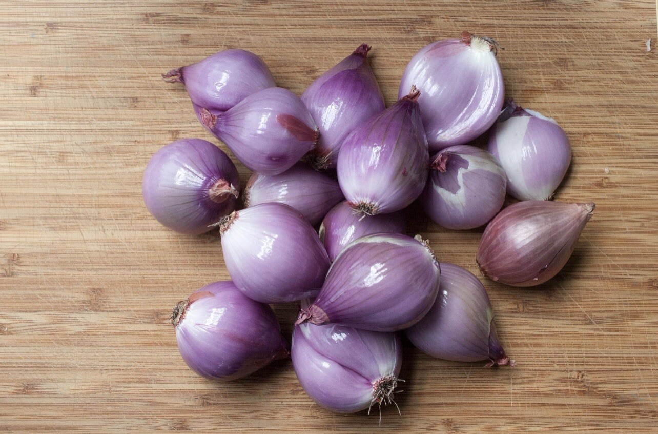 50 SEEDS Shallot Onion | Sibuyas Tagalog | NON-GMO | Red Shallot Onion