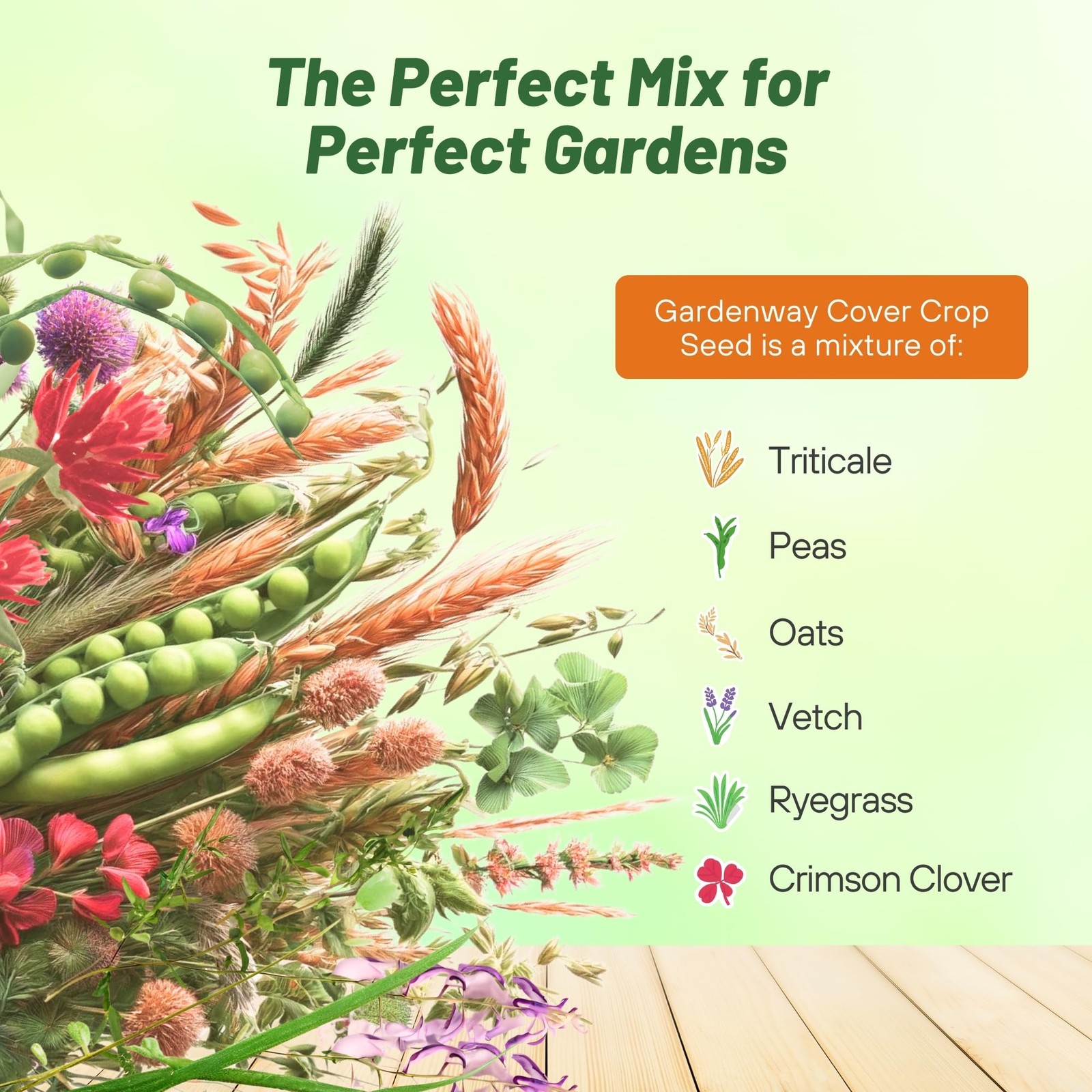 Nutrient-Rich Cover Crop Seeds Mix for Soil Health – 5 lbs Triticale, Peas, Oats