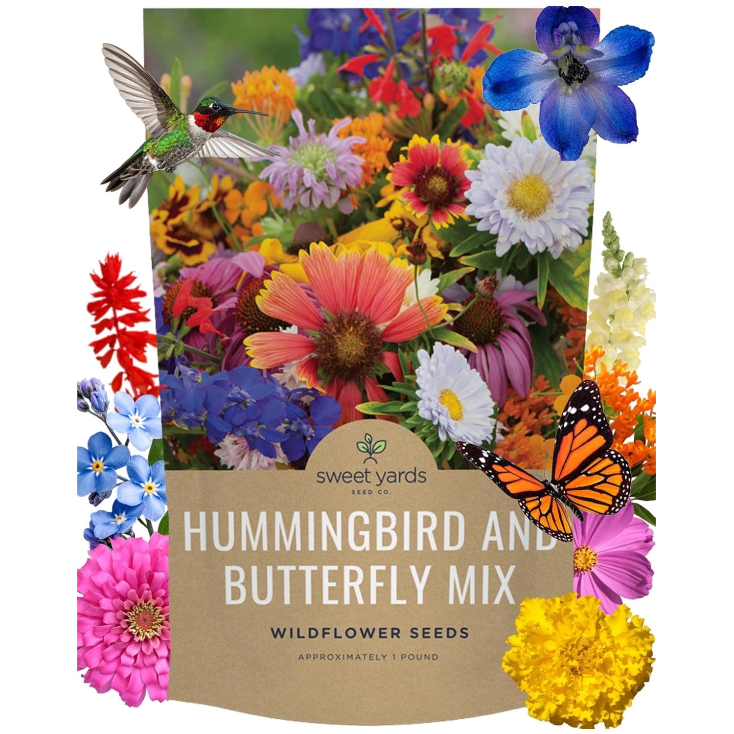 Hummingbird Butterfly Wildflower Seeds Mix