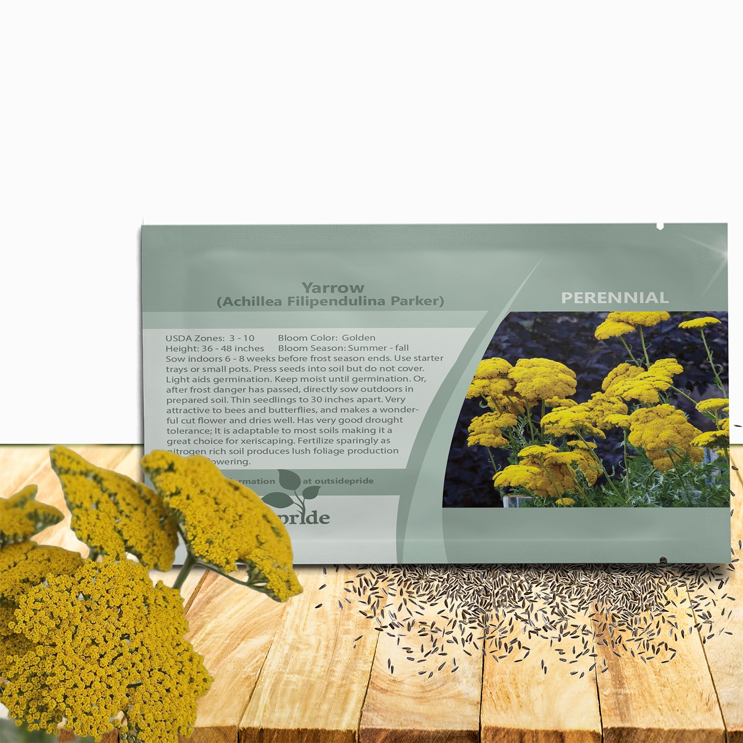 5000 Seeds Achillea Yarrow Fernleaf Parker Drought Resistant Garden Flower