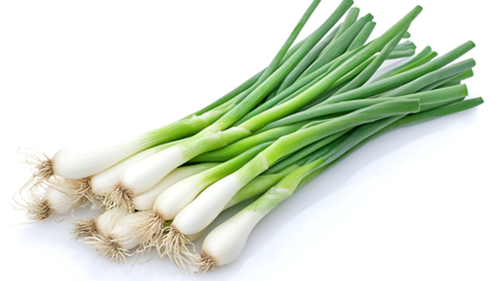 100 Warrior Bunching Onion Seeds! Gardeners Favorite!