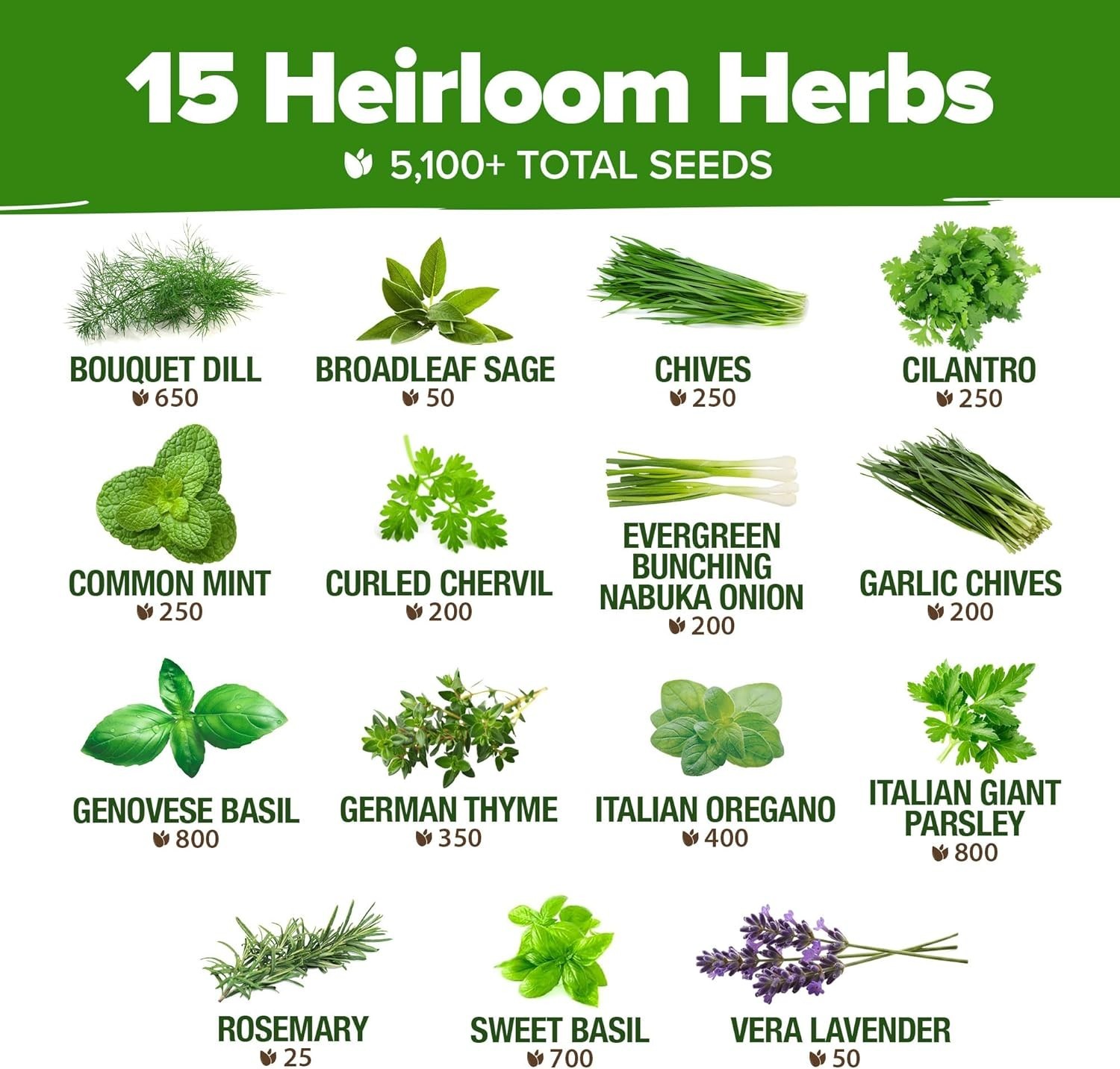Culinary Herb Seed Kit – 15-Pack with 5,100 Seeds for Indoor & Hydroponic Growth