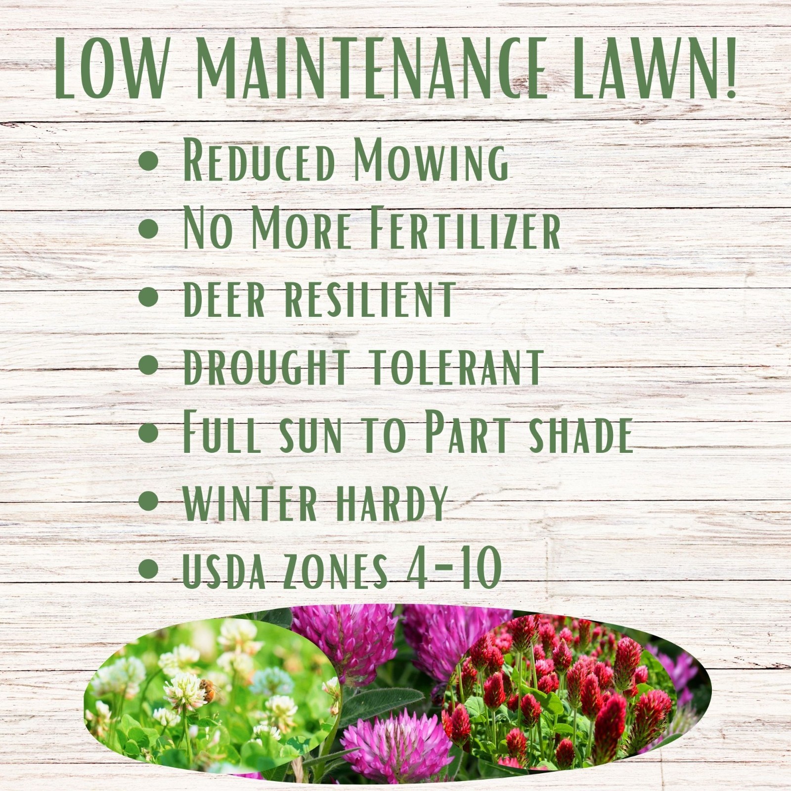 Flawn Seed Kits Tri-Color Clover Seed, Equal Mix 3 Clovers, Flowering Lawn