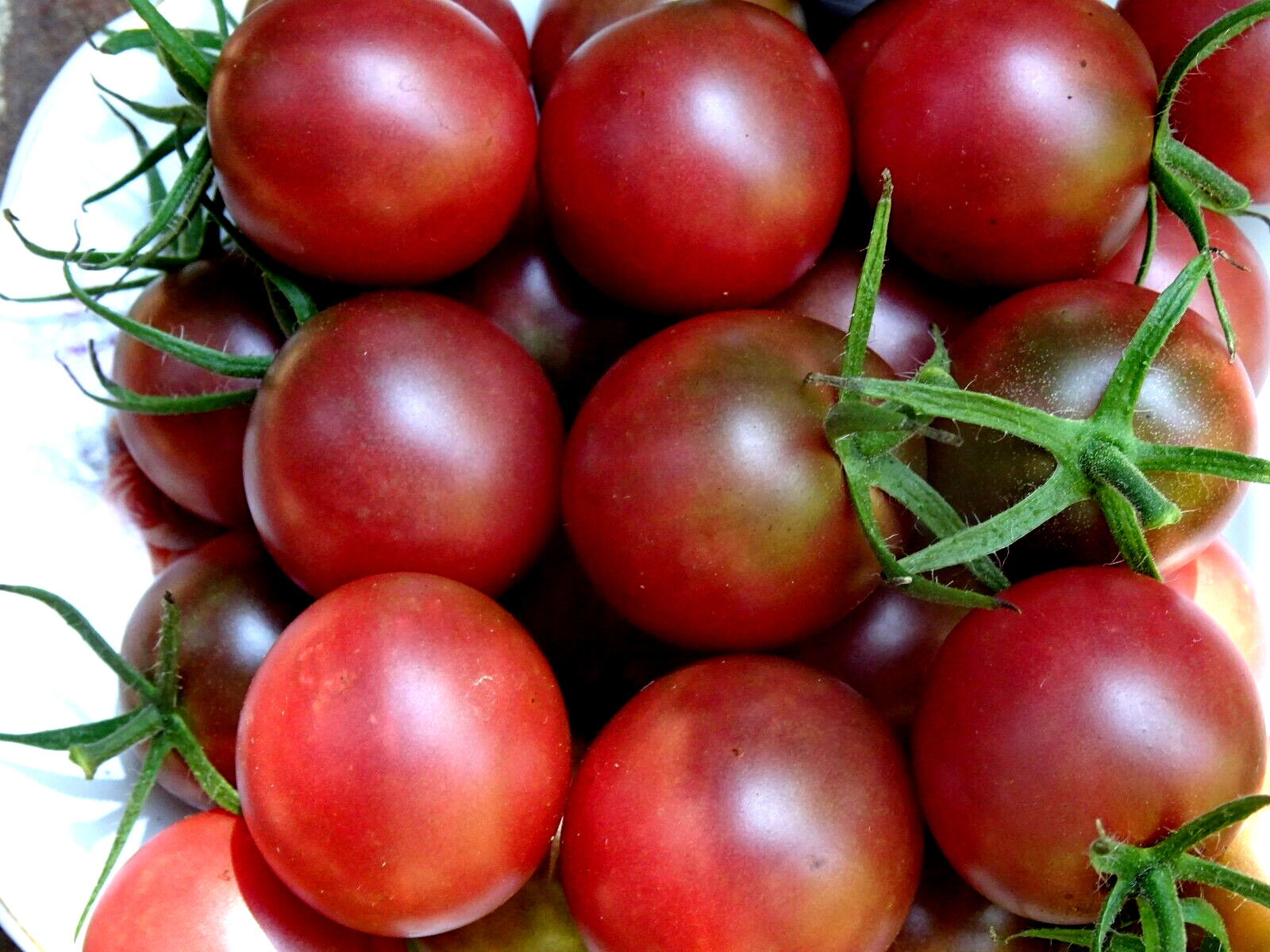 Chocolate Cherry Tomato 50 Seeds Non-GMO Organic Grown 2024 Delicious heirloom