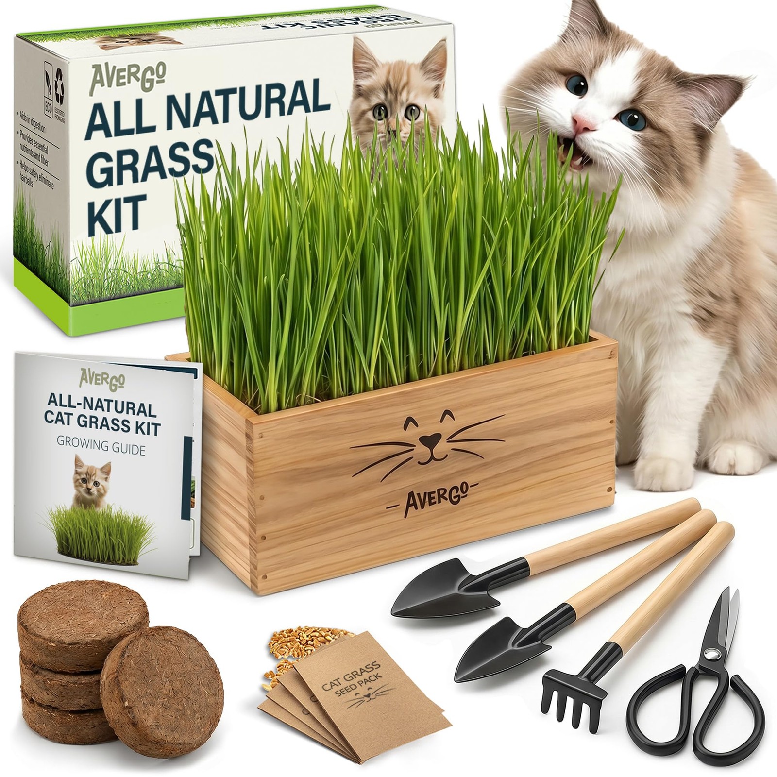 Cat Grass Kit for Indoor Cats – x4 Packets | Cat Grass Seeds with Wooden Plan…
