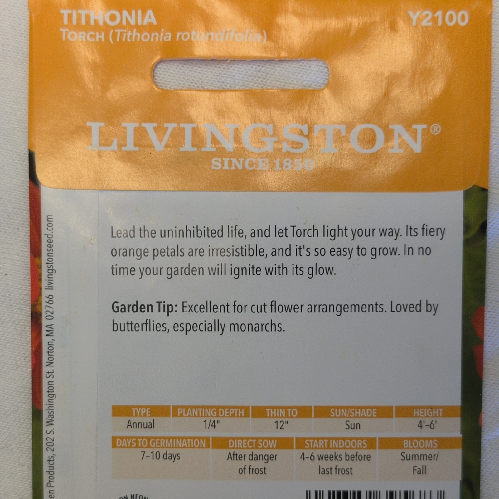 Livingston Tithonia Torch Annual Orange Flower Seeds Full Sun Outdoor Y2100