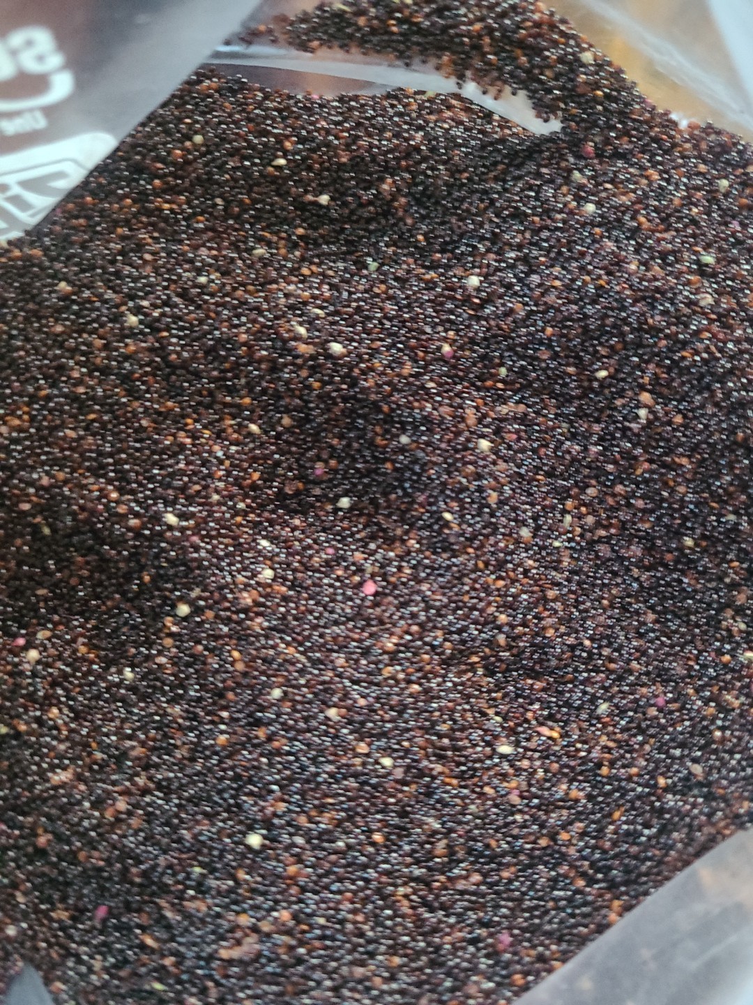 Amaranth Hopi Red No Pesticides or Chemicals. 6000 Seeds +/- Non GMO