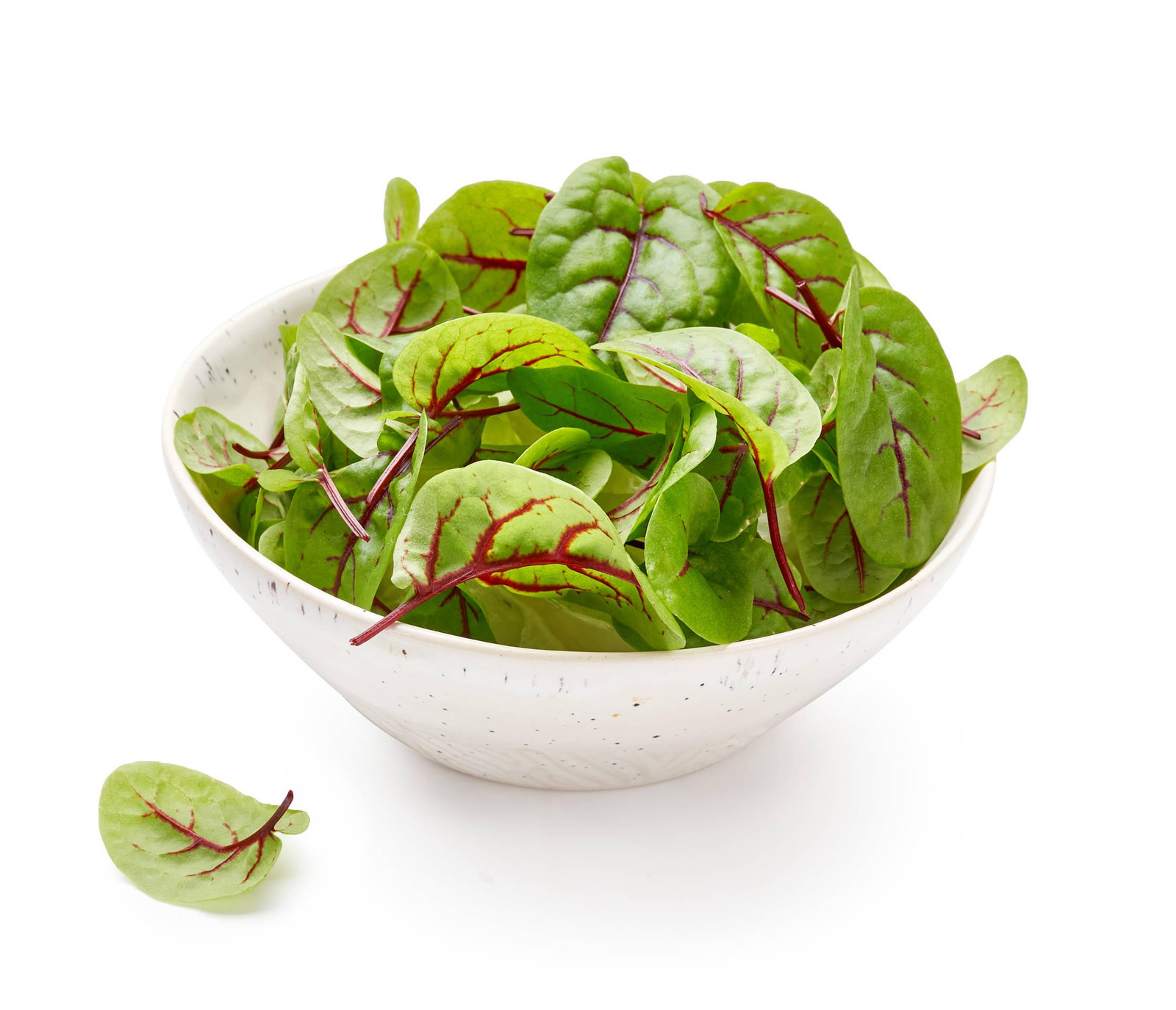 Red Veined Sorrel Seeds, Colorful Salad Greens, Fast Shipping, Tracking Included