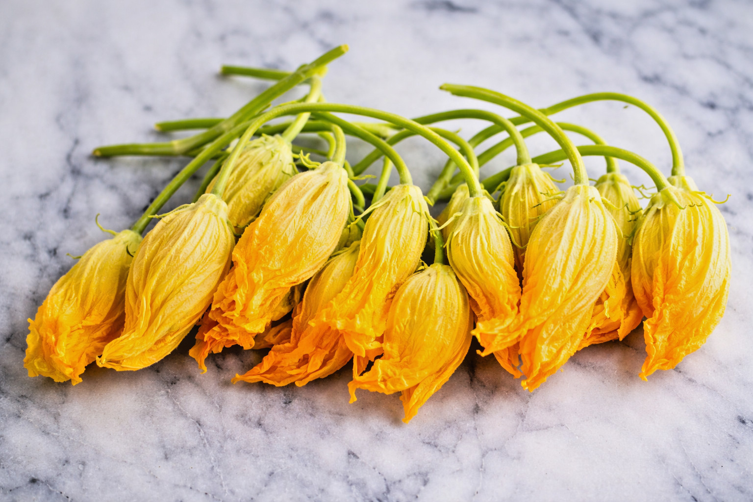 10 Rare Lemon Squash Seeds, Heirloom, Non-GMO, Genuine USA