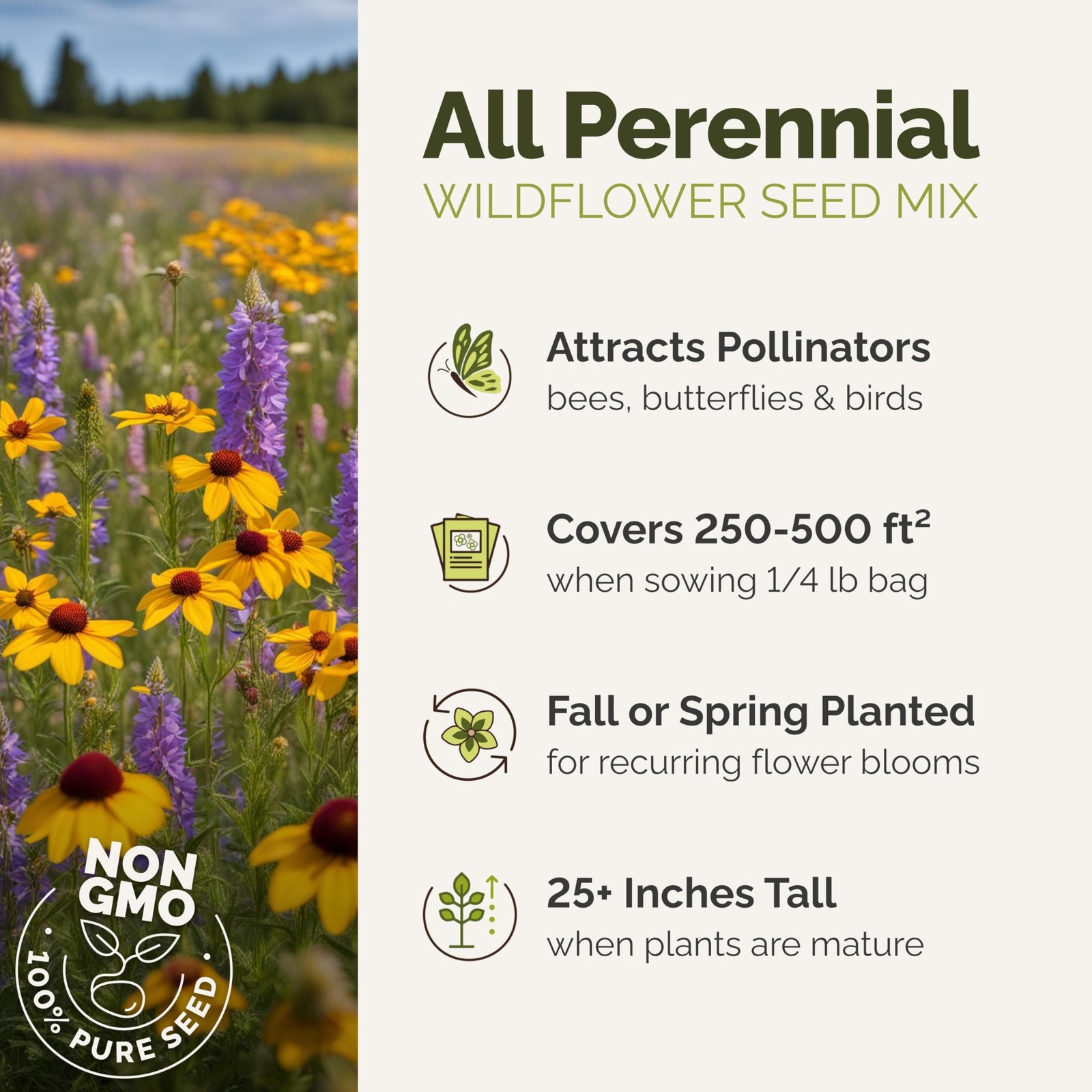 All Perennial Wildflower Seed Mix for Planting, 1/4 lb, 120,000+ Seeds, Throw…