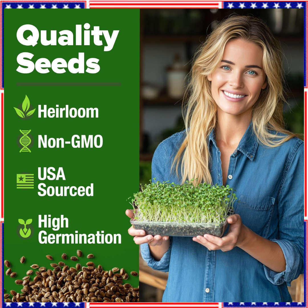 Broccoli Sprouting & Microgreens Seeds – 64,200 Non-GMO Heirloom
