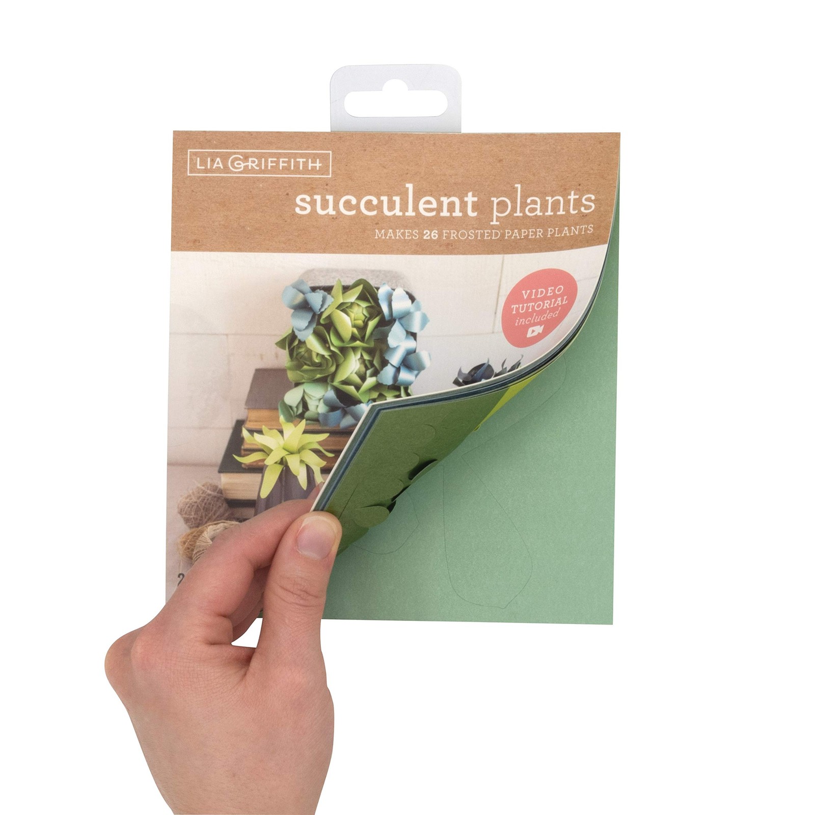 Frosted Succulent Paper Plants, 6″ x 6.5″, 23 Count, Assorted Colors