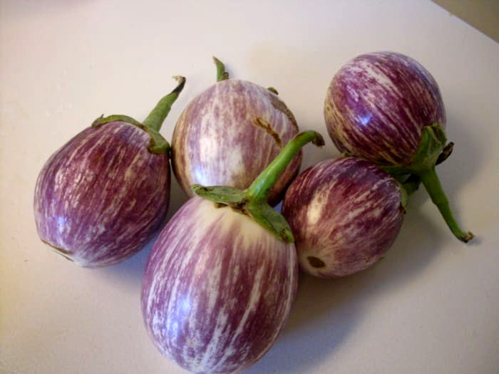 RARE✿ Spanish Heirloom Listada de Gandia Eggplant 15+ Seeds ●No Peeling Needed
