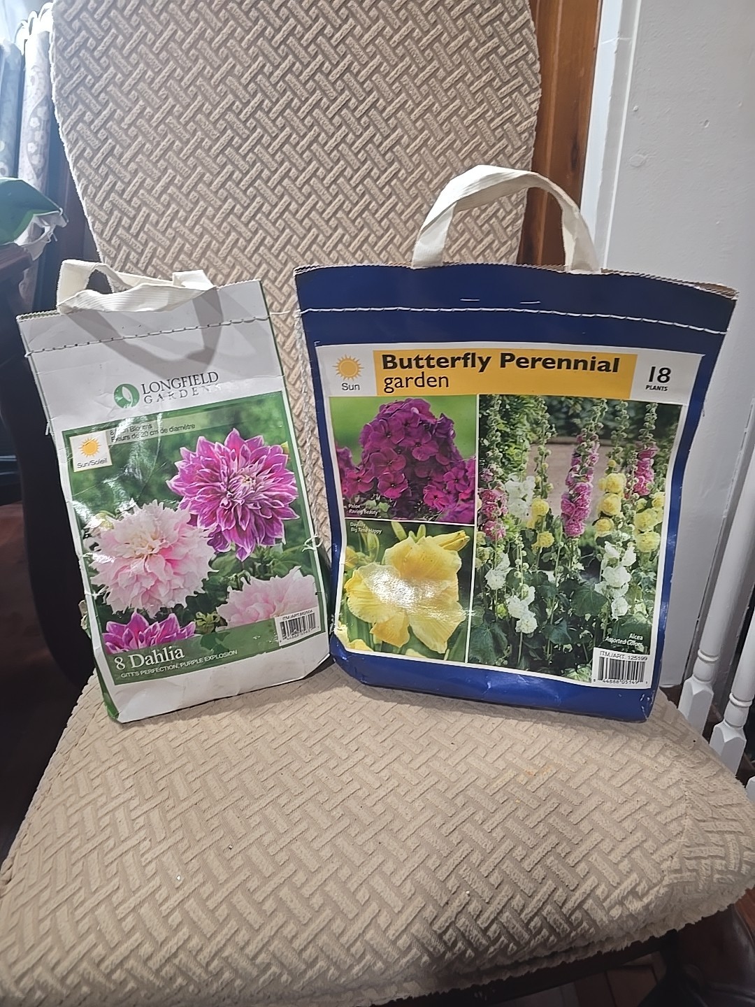 Dahlia Flower Bulbs Multicolor Perennial Outdoor Summer Full Sun Clumping