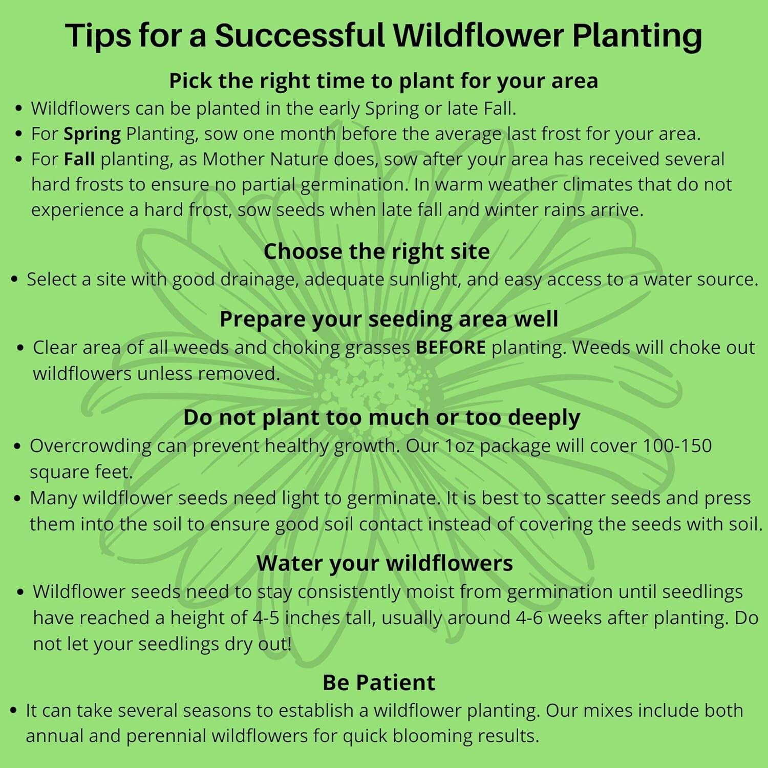 Multi-Color Wildflower Seed Packet – 1 oz Non-GMO Drought Tolerant for Gardeners