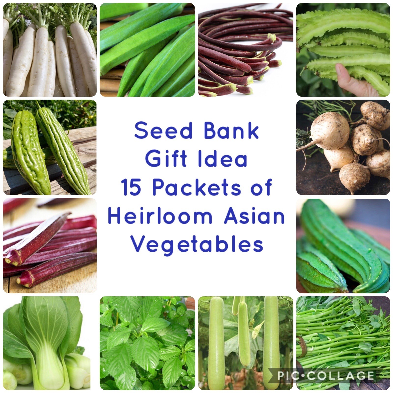 15 Packet SEEDS Bundle + 3 Packet FREE | Vegetable SEEDS for Planting