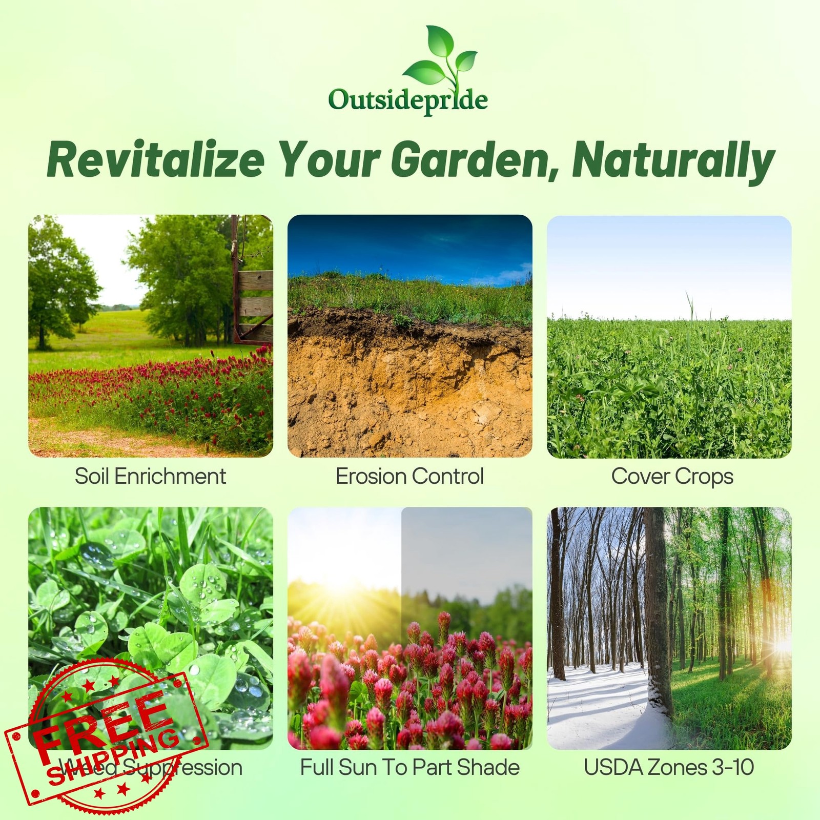 Outsidepride 5 lb. Garden Cover Crop Seeds