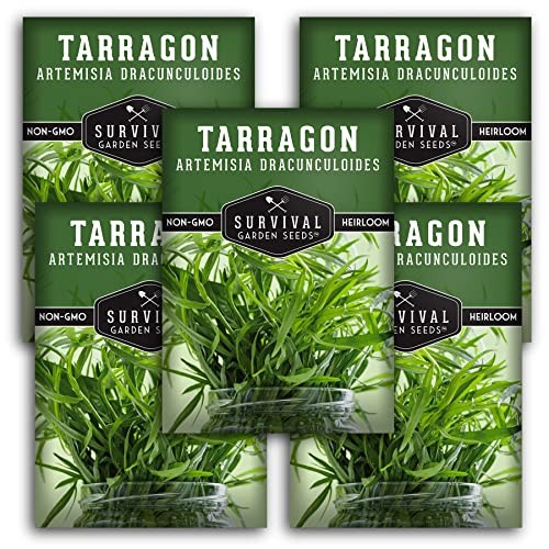 Russian Tarragon Seeds for Planting – Plant & Grow Big Flowering Herbs in 5