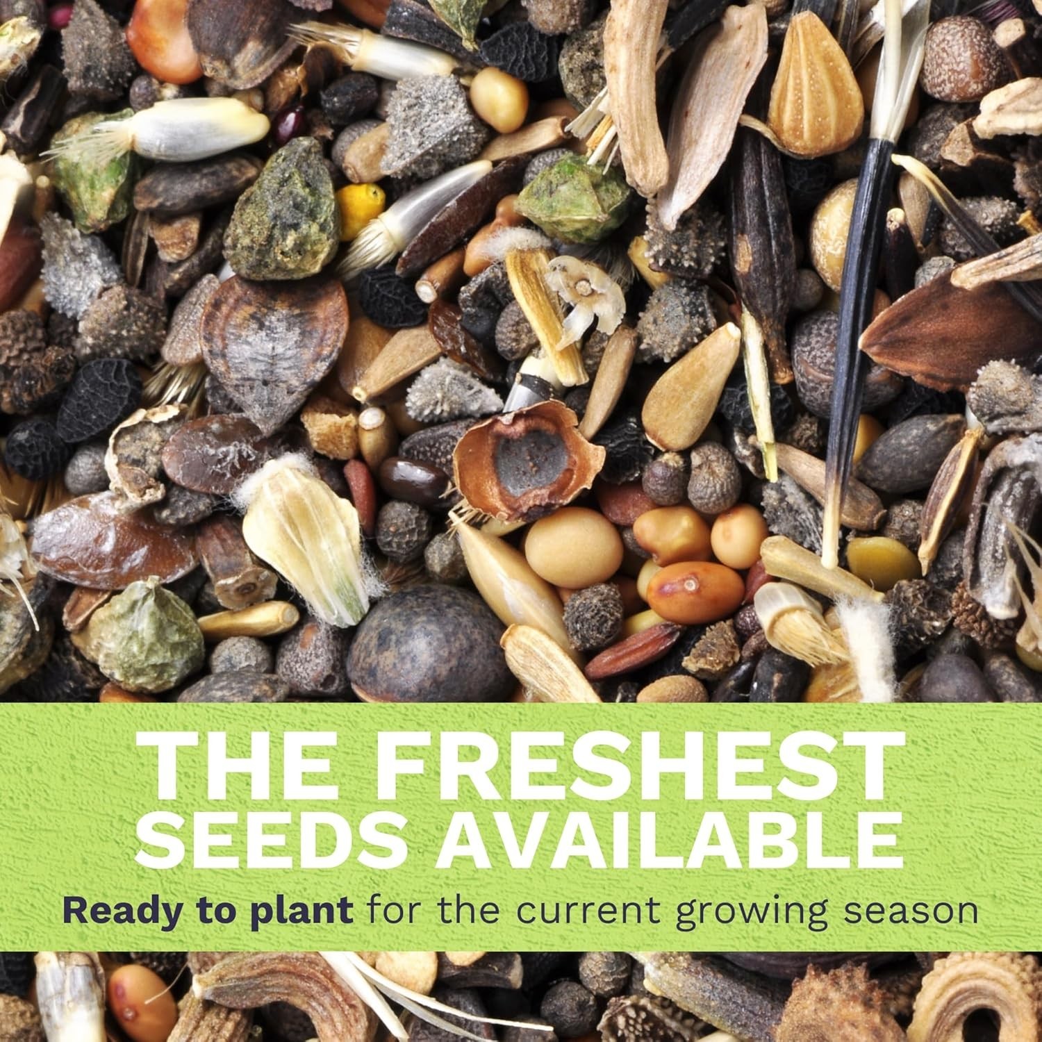Midwest Regional Mix – Large 1 Ounce Packet – 15,000 Flower Seeds for Plantin…